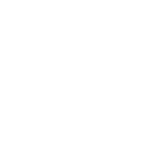 Audio icon